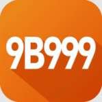 9b999 Deluxe Latest v5.0.1