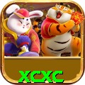 xcxc - Casino Pro